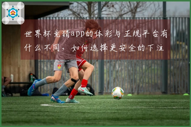 世界杯竞猜app的体彩与正规平台有什么不同，如何选择更安全的下注方式？