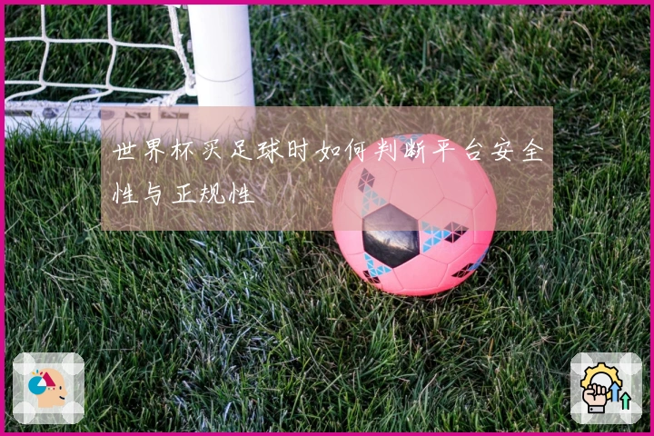 世界杯买足球时如何判断平台安全性与正规性