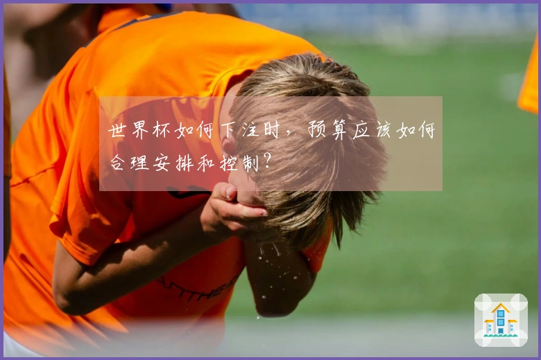 世界杯如何下注时，预算应该如何合理安排和控制？