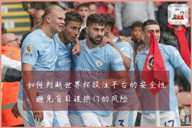 如何判断世界杯投注平台的安全性，避免盲目追热门的风险