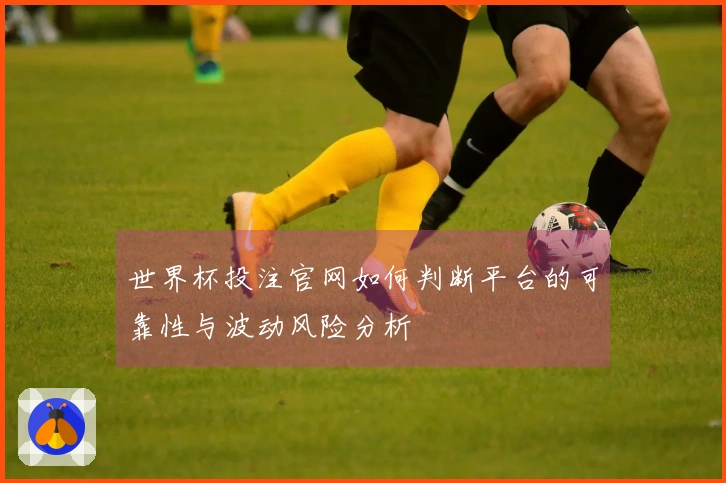世界杯投注官网如何判断平台的可靠性与波动风险分析